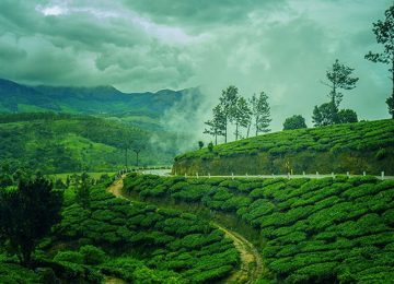Munnar